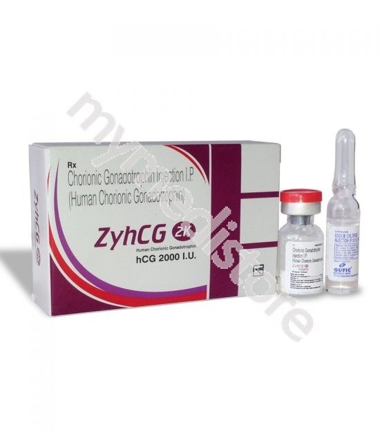 zyhcg_2-a zyhcg_2-a